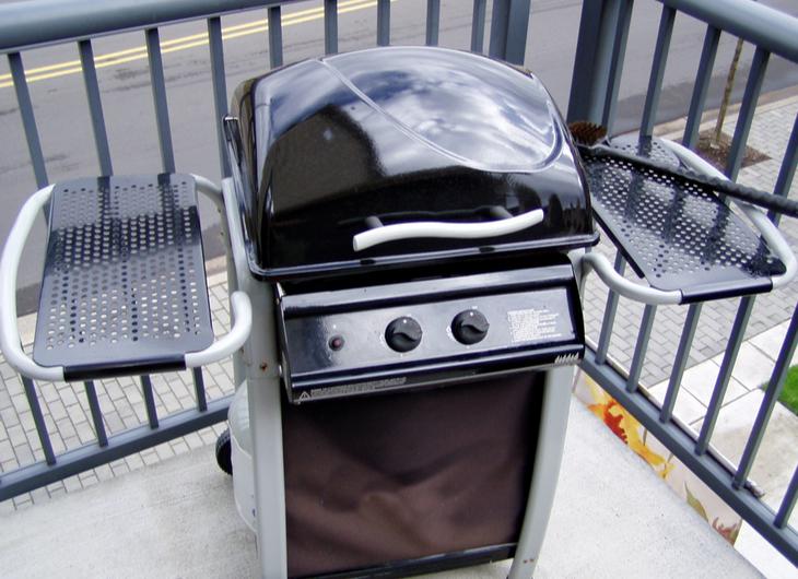 Is a Two-Burner Grill Enough?