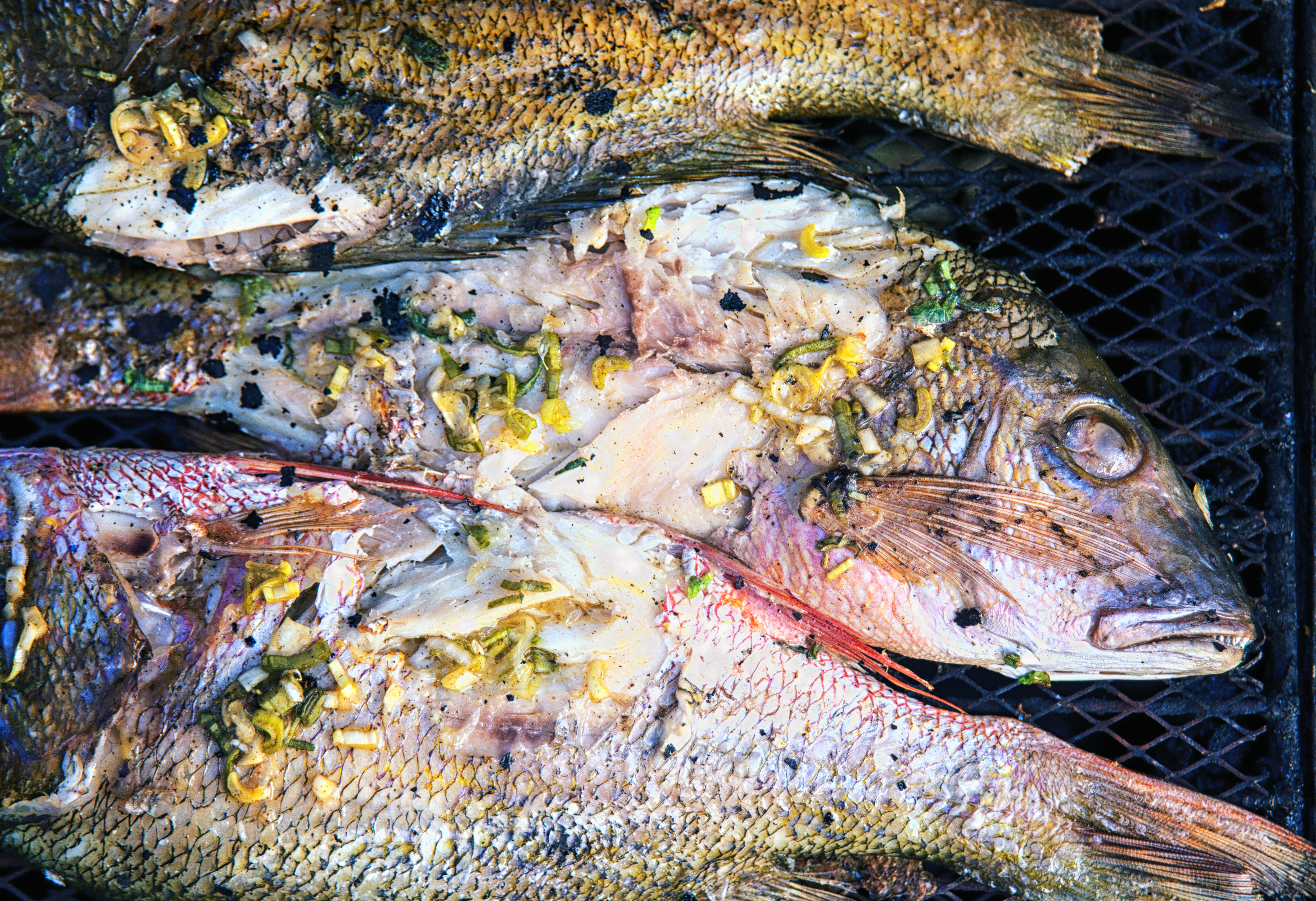 How to Grill Red Snapper