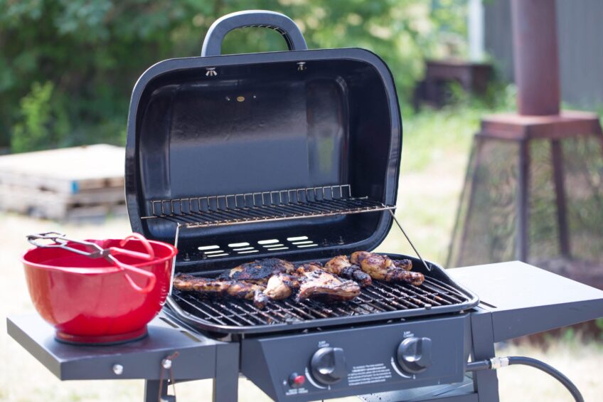 Is a Two-Burner Grill Enough?