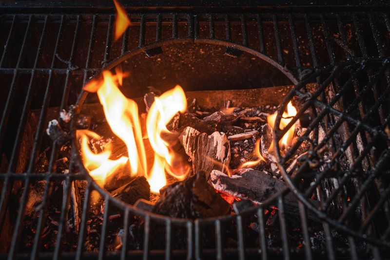 Is It Healthier to Cook with Charcoal or Propane?