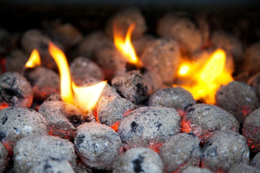 What is the Hottest Burning Charcoal?
