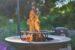 Is Grilling with Wood Bad For You?