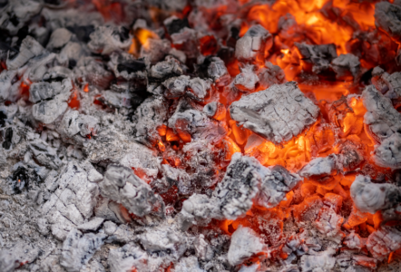 Understanding the Effects of Using Charcoal for Cooking on Health and Environment