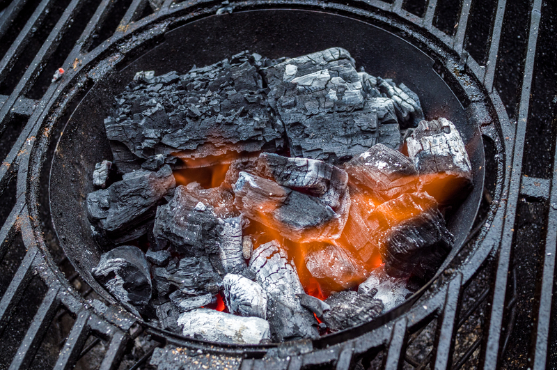 Which is the Healthiest Type of Grill?