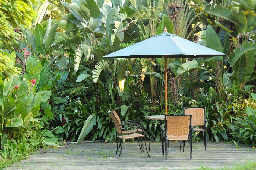What is the Best Color for an Outdoor Umbrella?