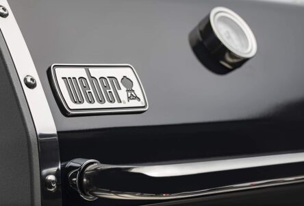 Which Weber Grill is the Best for the Money?