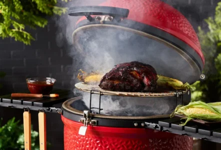 Are Kamado Grills Only Good for Smoking?