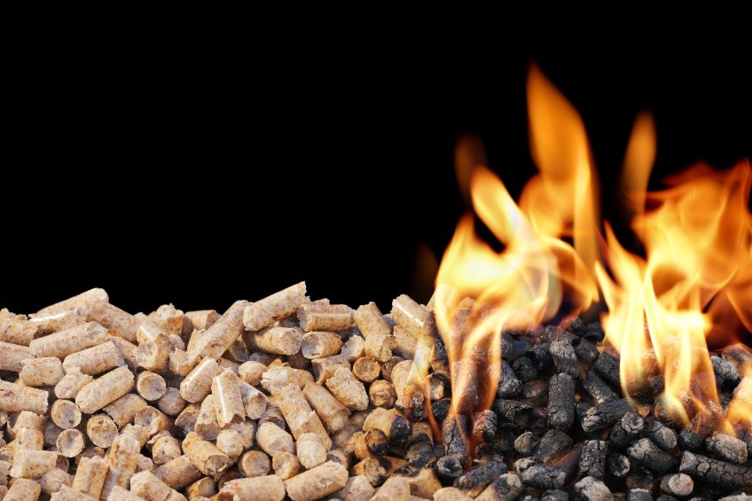 Are Pellet Grills Healthier Than Charcoal?