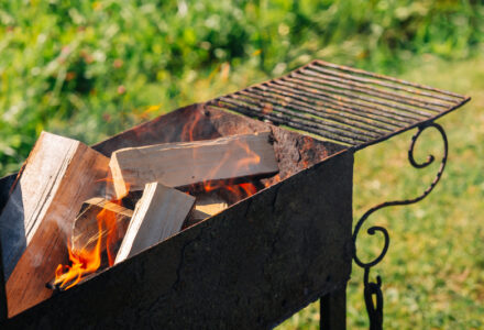 Can I Grill with Wood Instead of Charcoal?