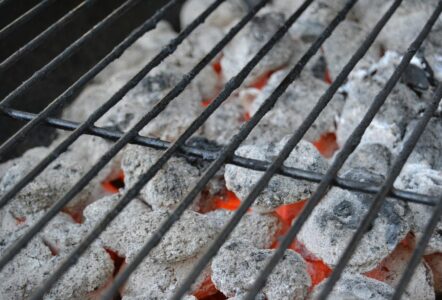 Does Charcoal Expire? Understanding Its Shelf Life and Storage Conditions