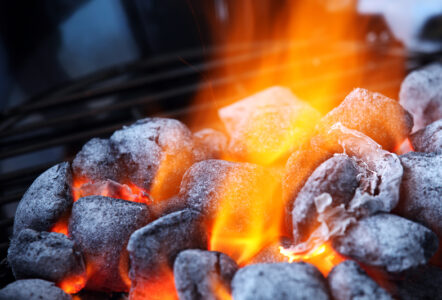 Does Charcoal Expire? Understanding Its Shelf Life and Storage Conditions